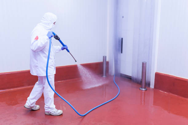 Best Paint Preparation  in Somerville, NJ
